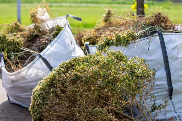 Best Dumpster Rental Services  in Denver, NC